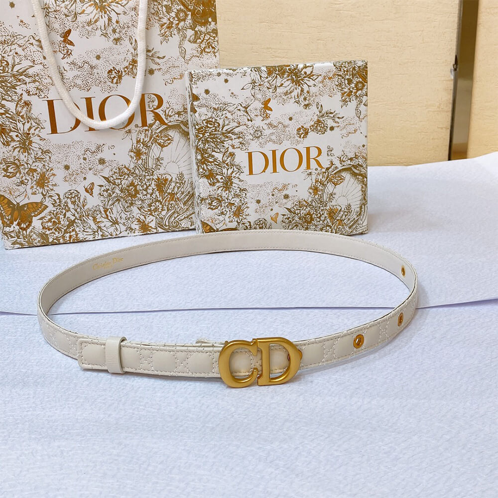 D10r 20mm belt