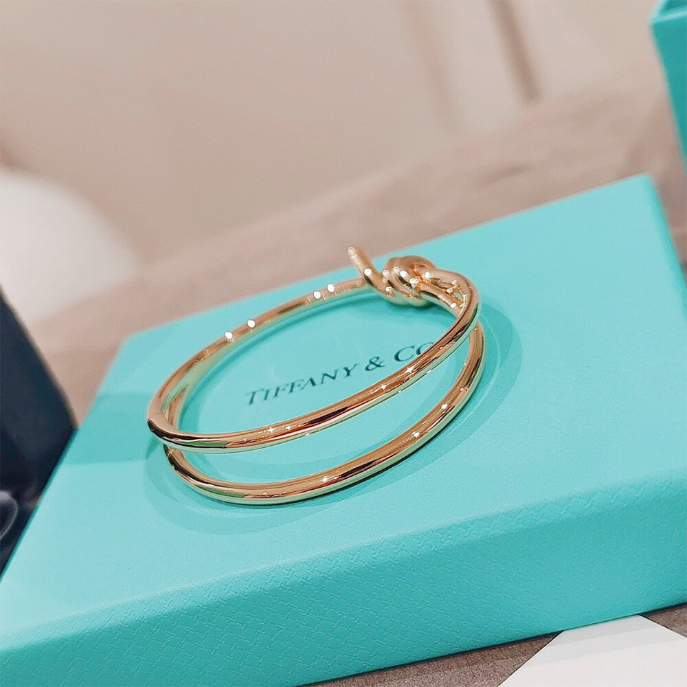 T*f*ny Knot Double Row Hinged Bangle