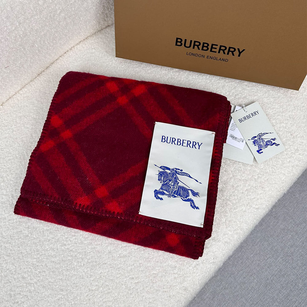 Bv*b*rry Check Cashmere Scarf