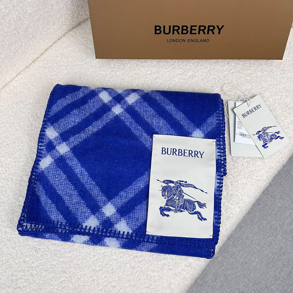 Bv*b*rry Check Cashmere Scarf