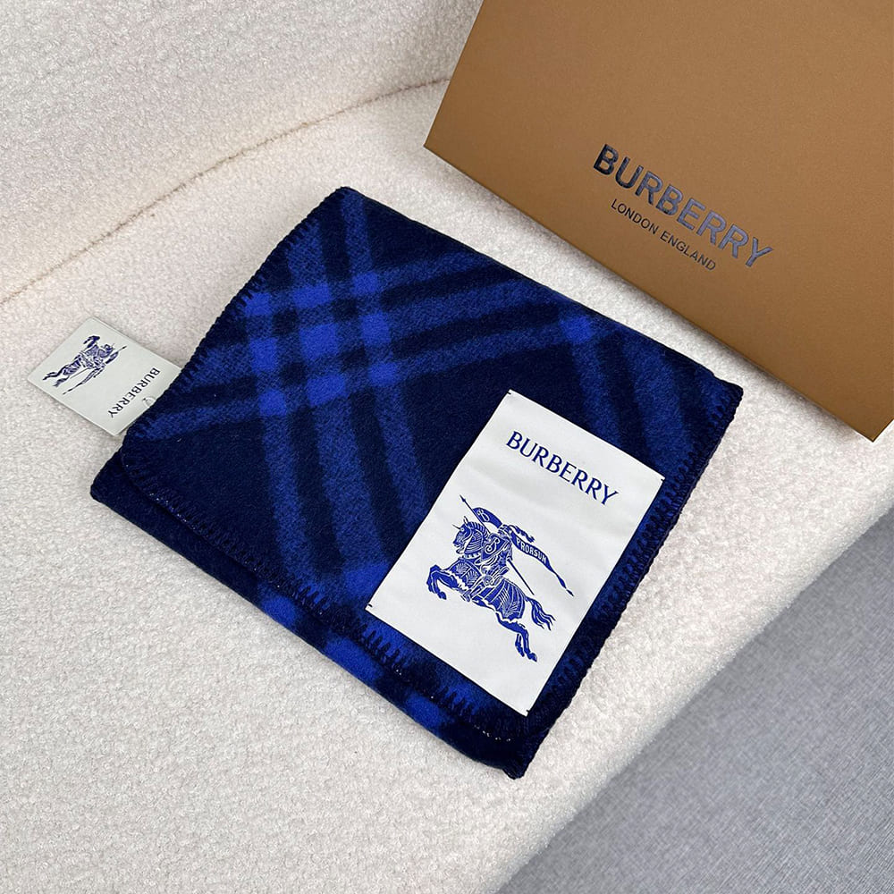 Bv*b*rry Check Cashmere Scarf