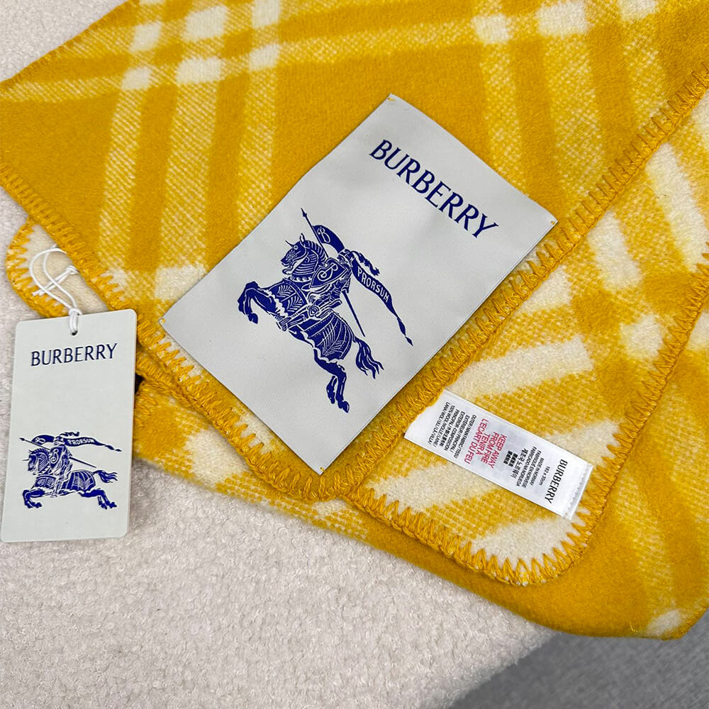 Bv*b*rry Check Cashmere Scarf