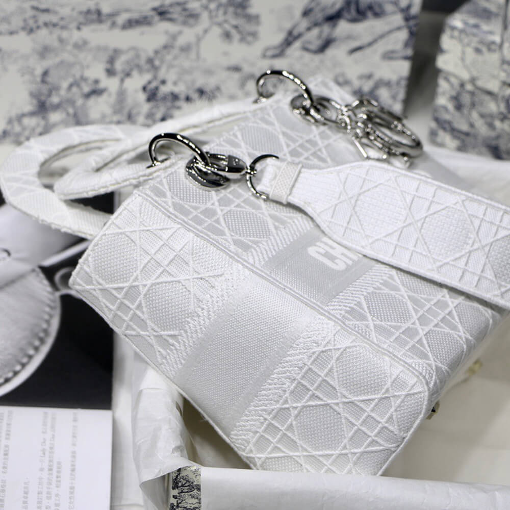 D10r MEDIUM LADY D-LITE BAG