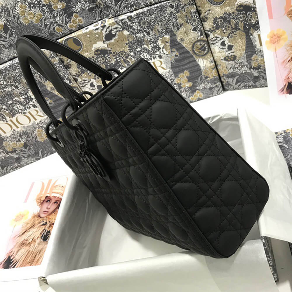 D10r LARGE LADY D10r BAG