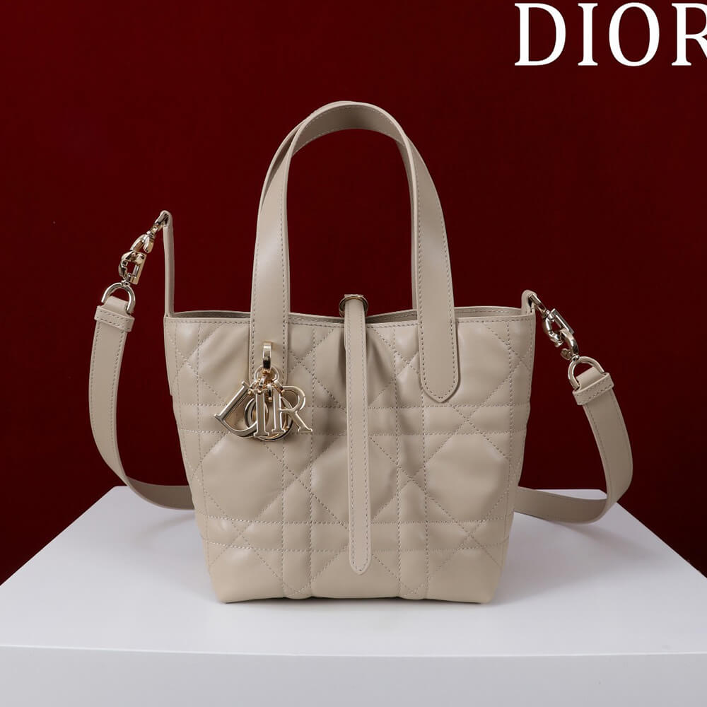 Small D10r Toujours Vertical Tote Bag(high-end grade)