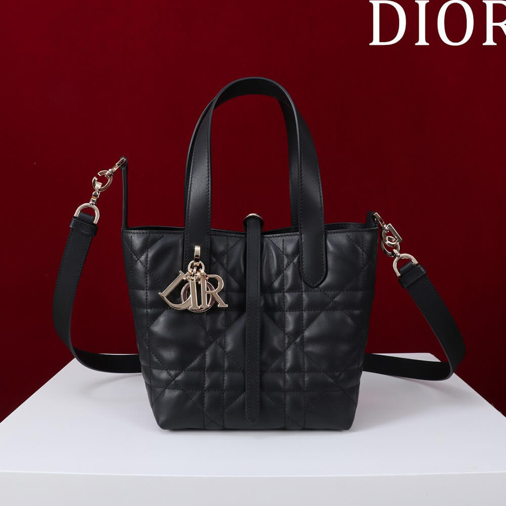 Small D10r Toujours Vertical Tote Bag(high-end grade)