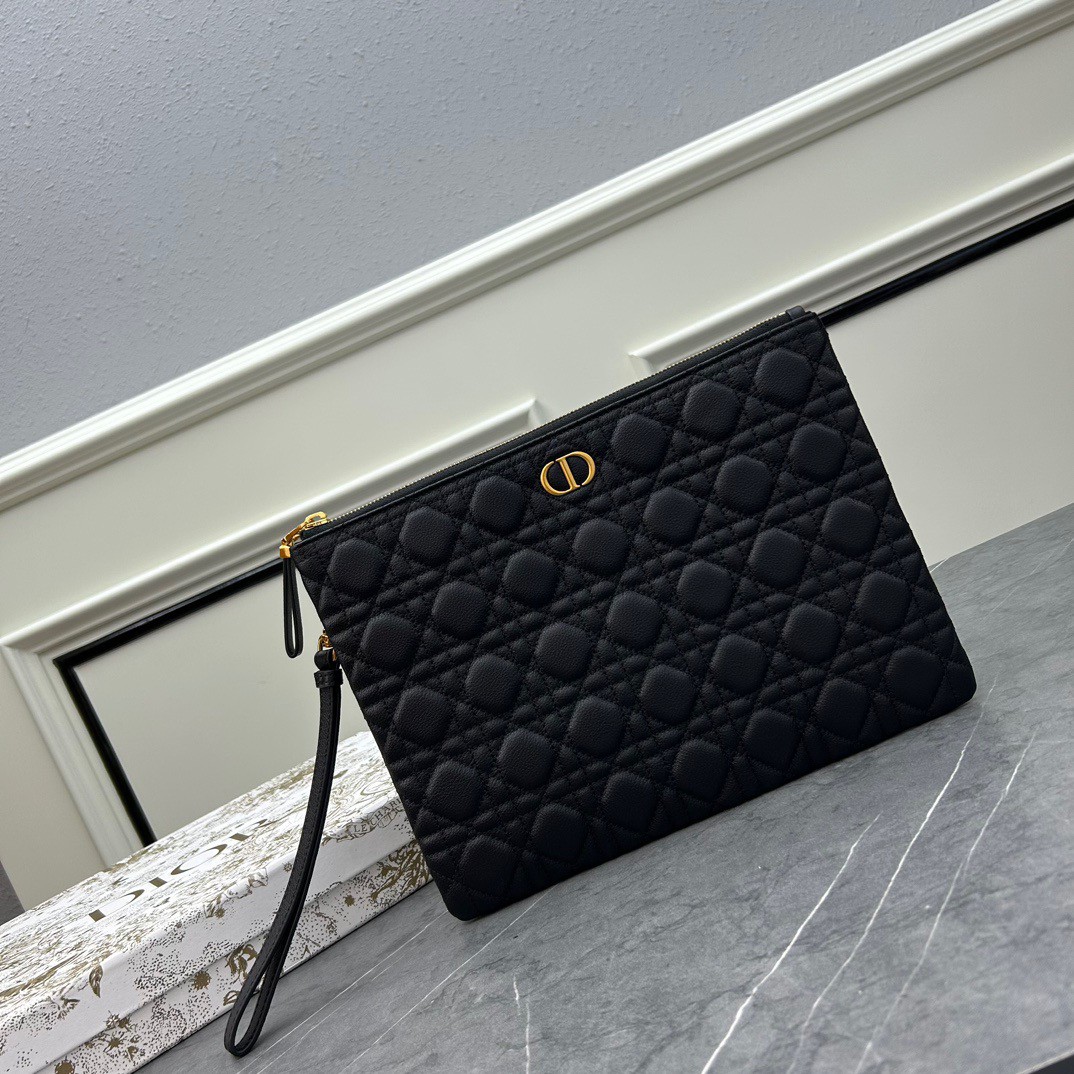 Large D10r Caro Daily Pouch(HIGH-END GRADE)