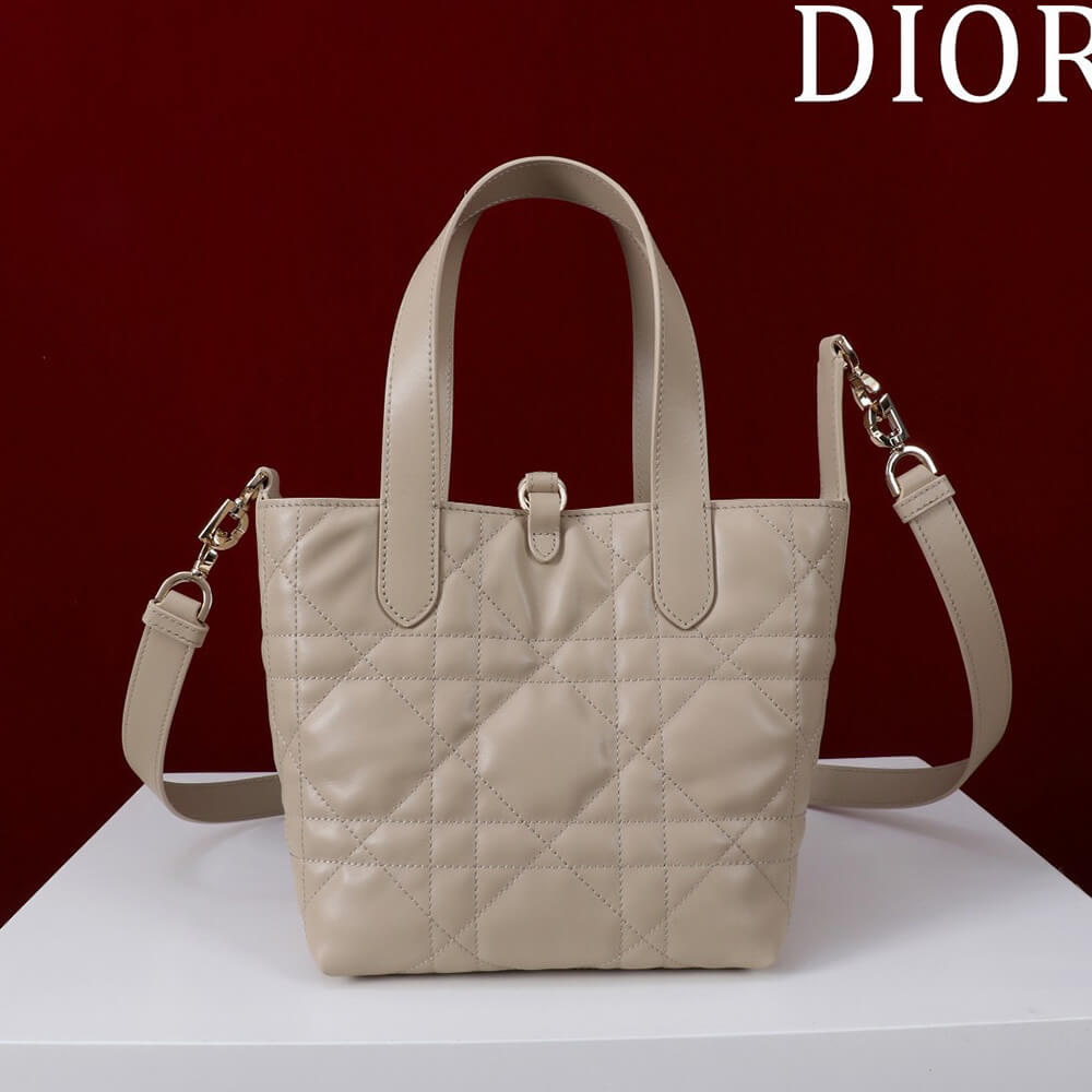 Small D10r Toujours Vertical Tote Bag(high-end grade)