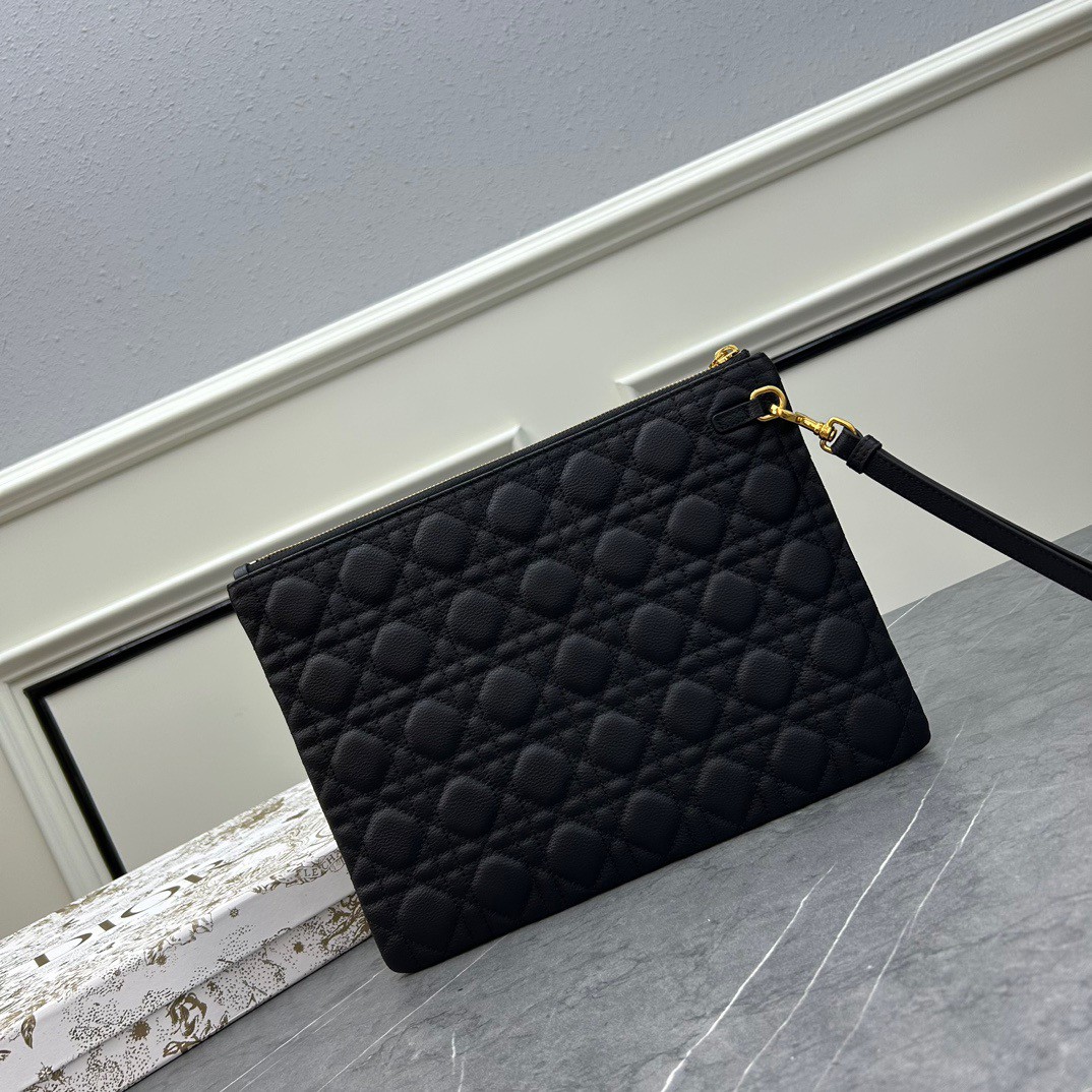 Large D10r Caro Daily Pouch(HIGH-END GRADE)