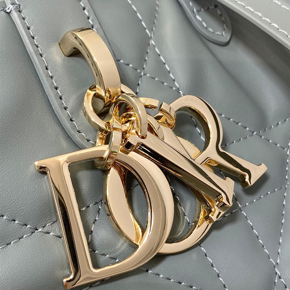 Small D10r Toujours Vertical Tote Bag(high-end grade)