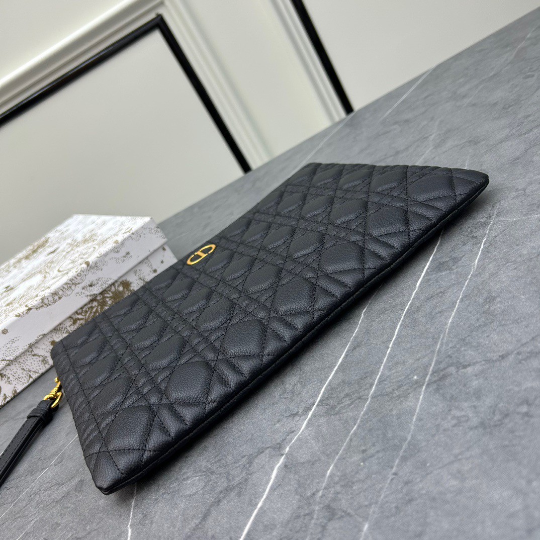 Large D10r Caro Daily Pouch(HIGH-END GRADE)