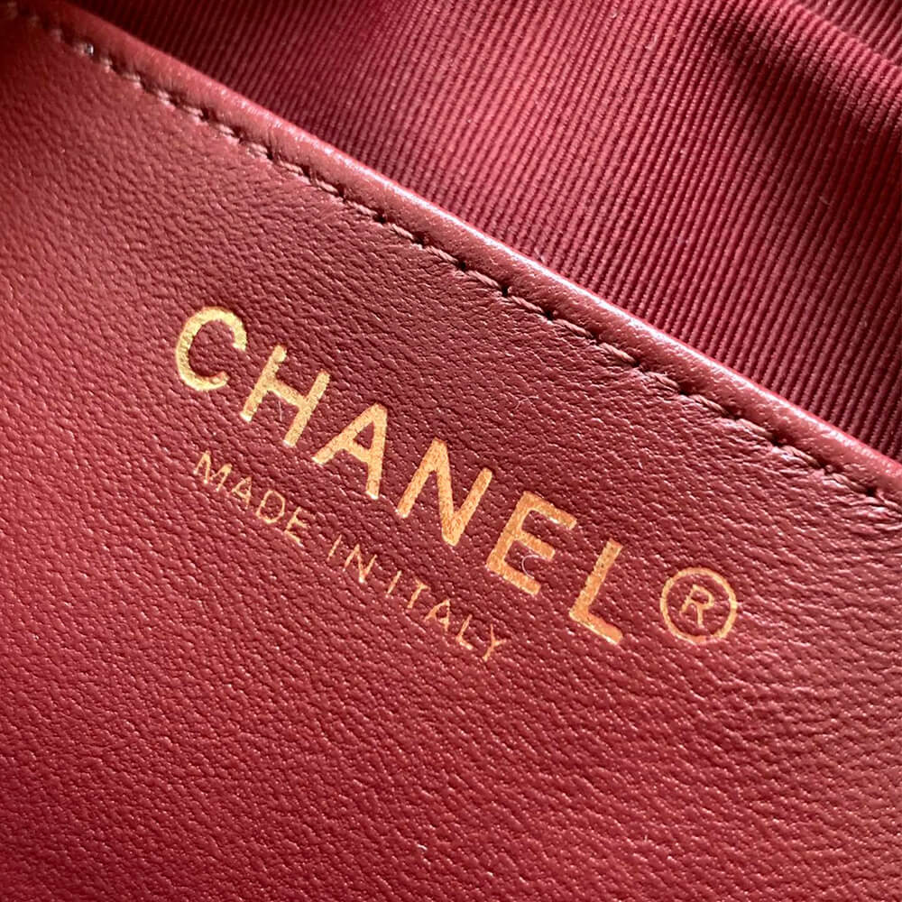 Ch**el Mini Camera Case