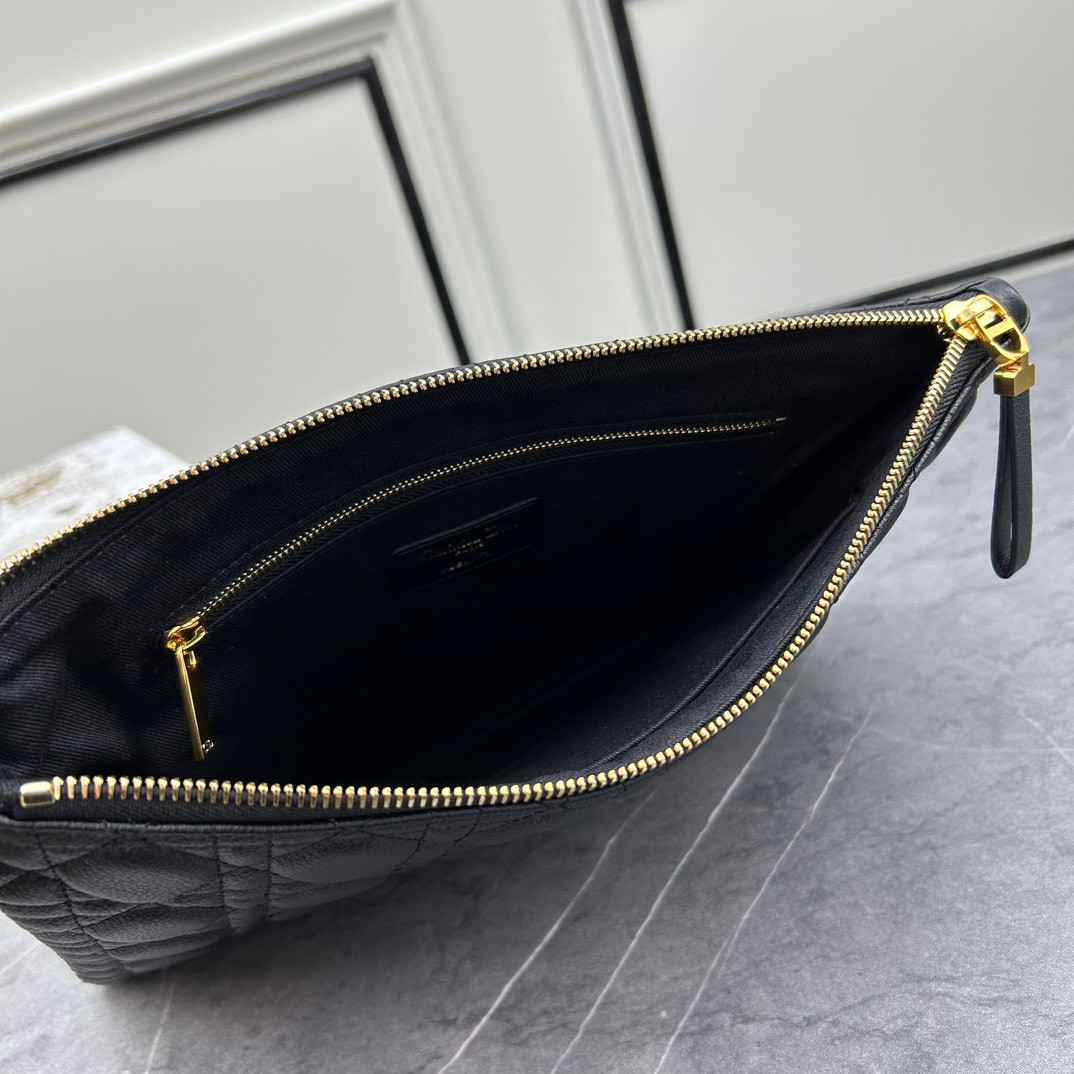 Large D10r Caro Daily Pouch(HIGH-END GRADE)