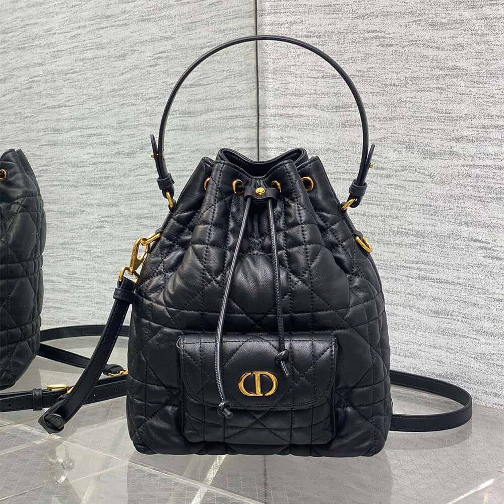 D10r Caro Small Bucket Bag