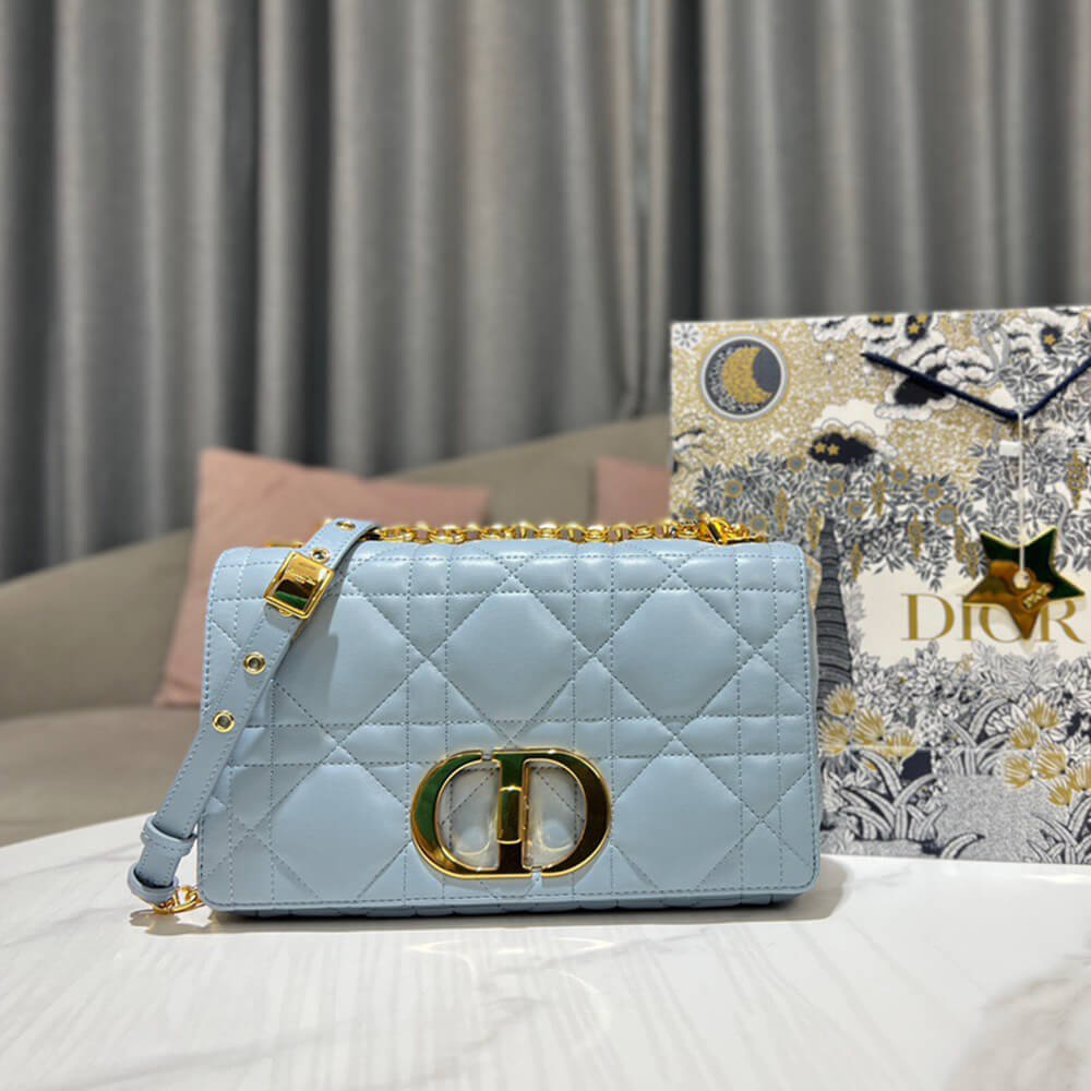 MEDIUM D10r CARO BAG
