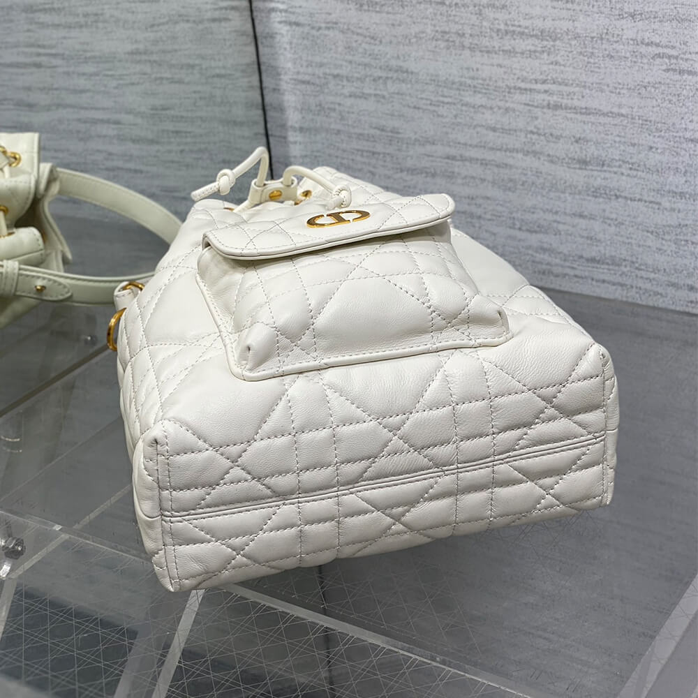 D10r Caro Small Bucket Bag