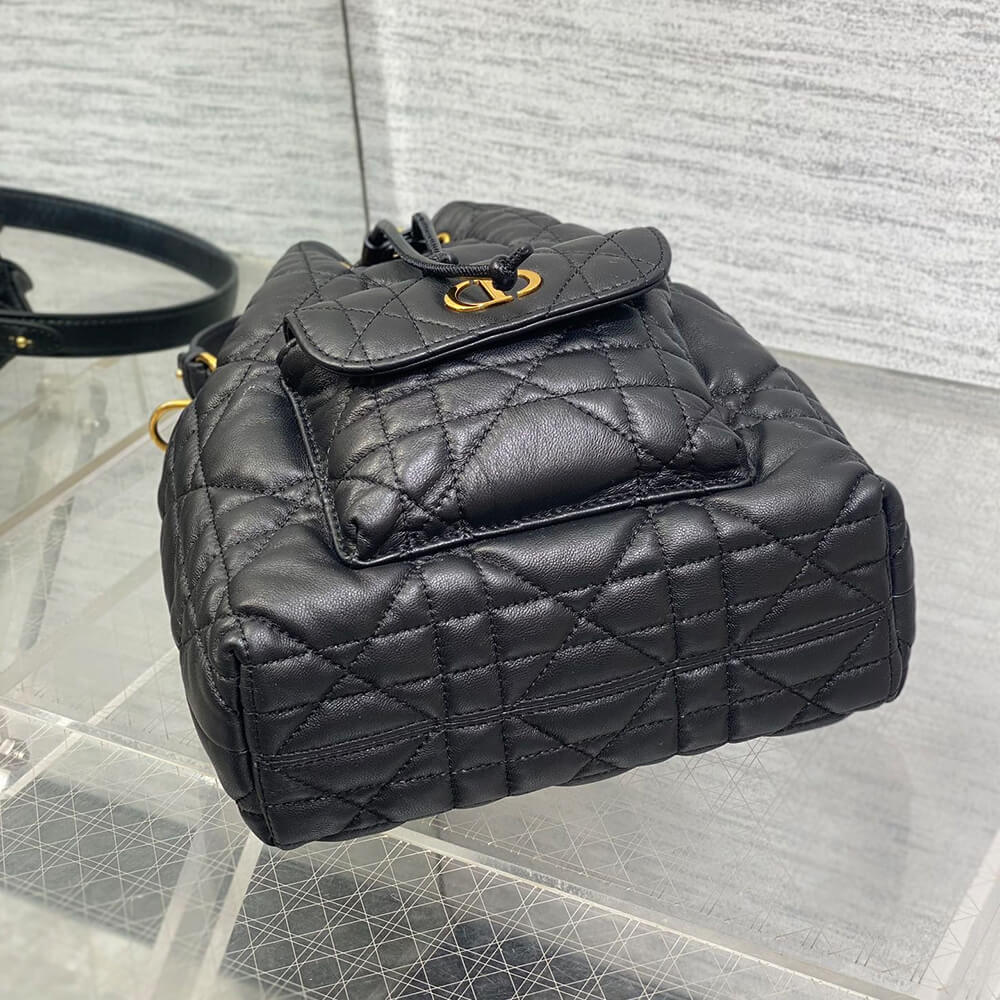 D10r Caro Small Bucket Bag