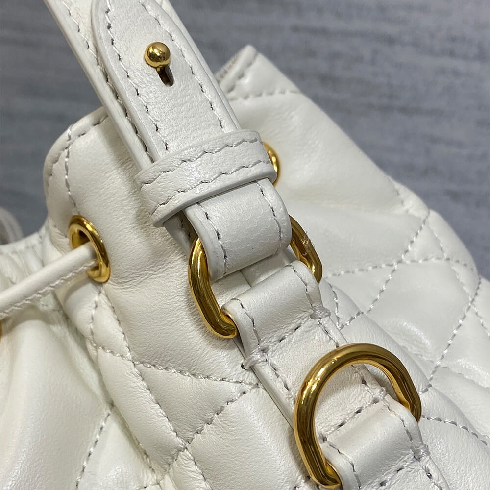 D10r Caro Small Bucket Bag