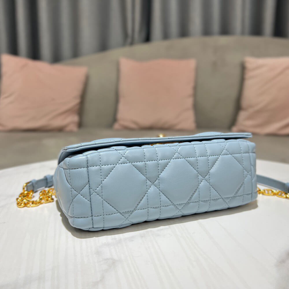 MEDIUM D10r CARO BAG