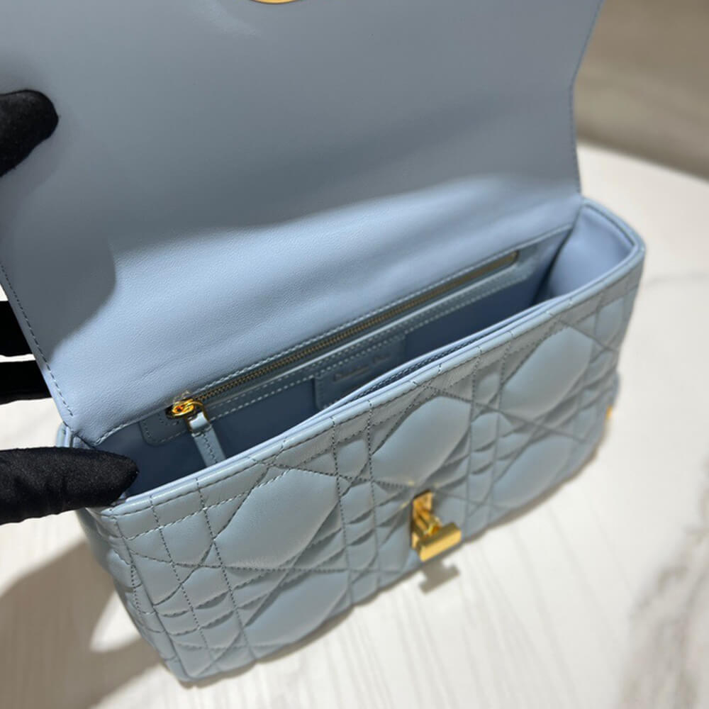 MEDIUM D10r CARO BAG
