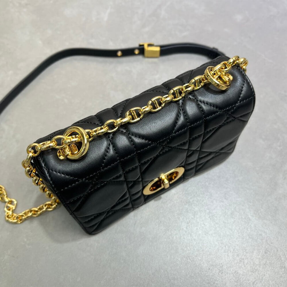 Small Soft D10r Caro Bag((HIGH-END GRADE))