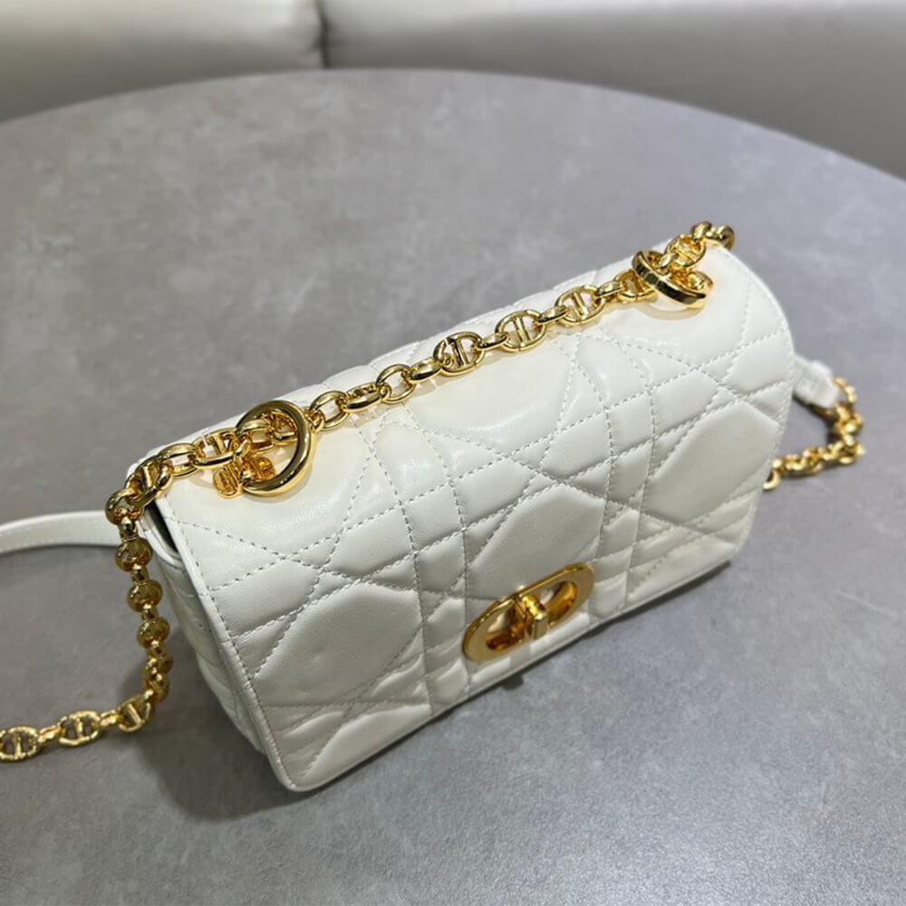 Small Soft D10r Caro Bag((HIGH-END GRADE))