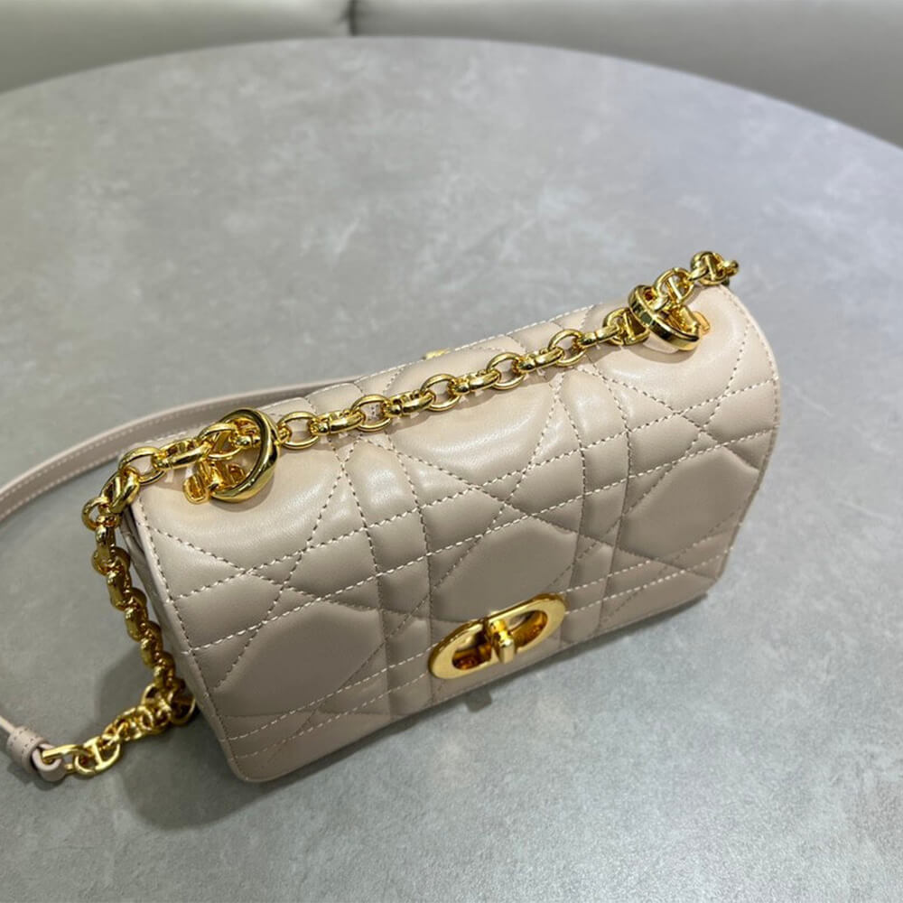 Small Soft D10r Caro Bag((HIGH-END GRADE))