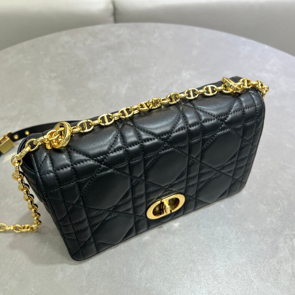 Medium Soft D10r Caro Bag((HIGH-END GRADE))