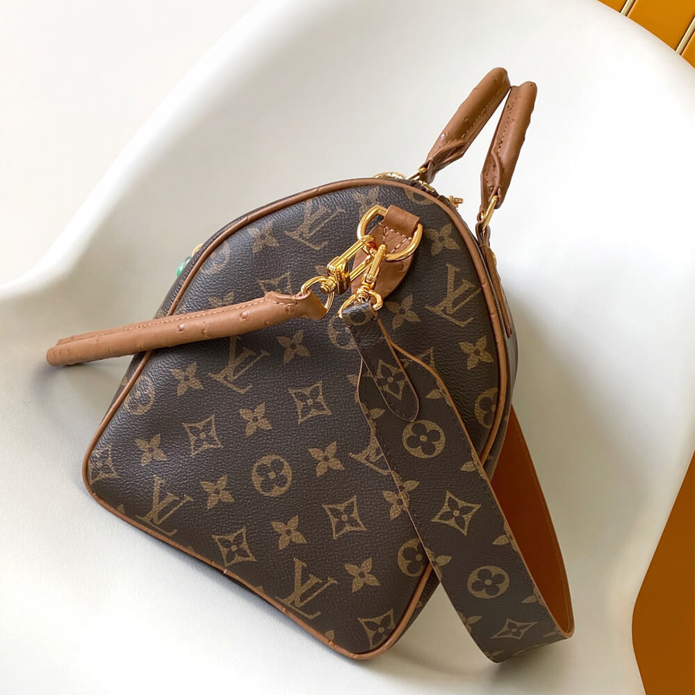 LV Speedy Soft 30 Boho