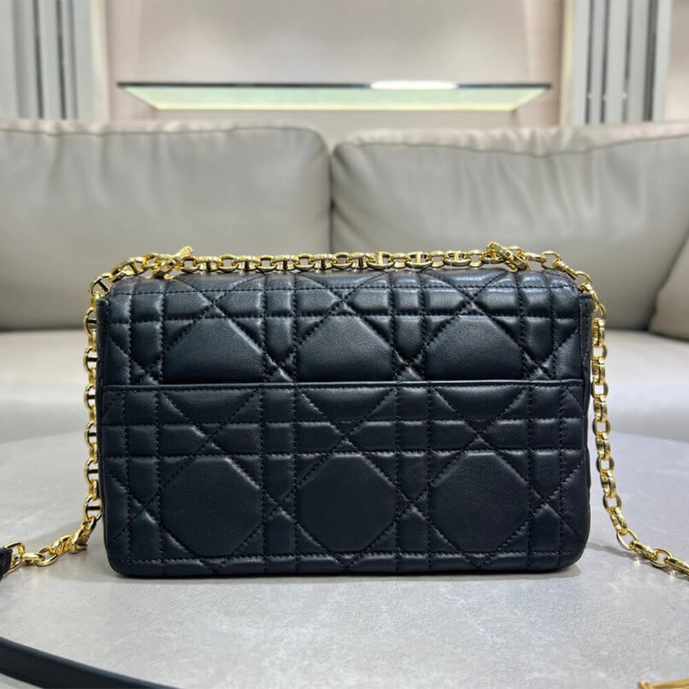 Medium Soft D10r Caro Bag((HIGH-END GRADE))