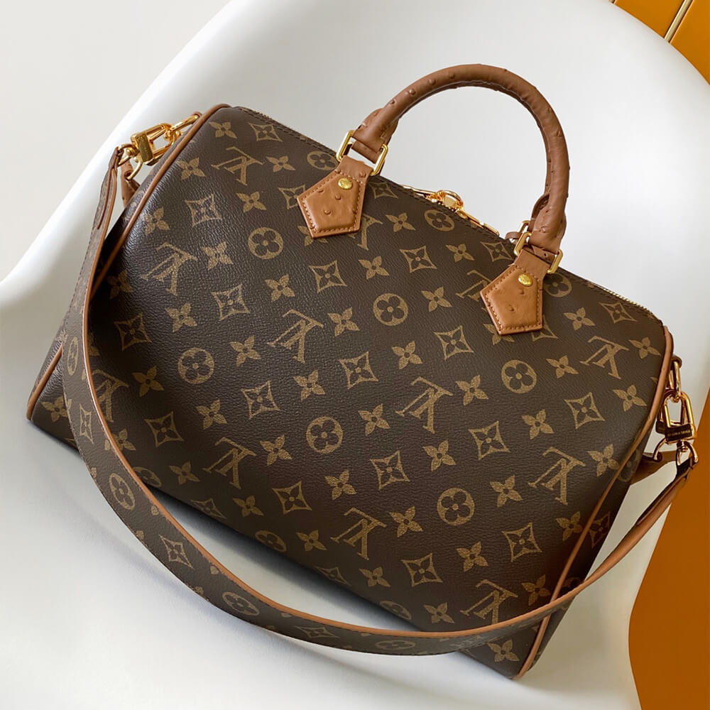 LV Speedy Soft 30 Boho