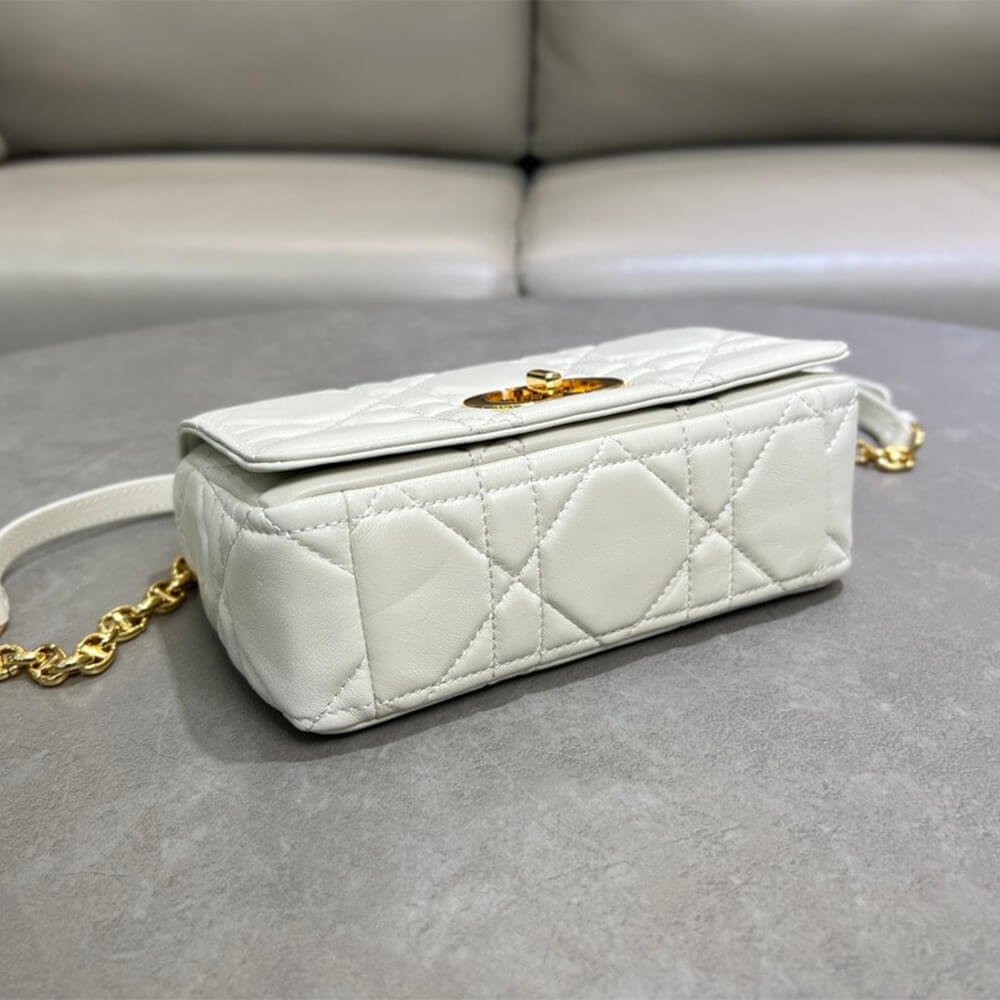 Small Soft D10r Caro Bag((HIGH-END GRADE))