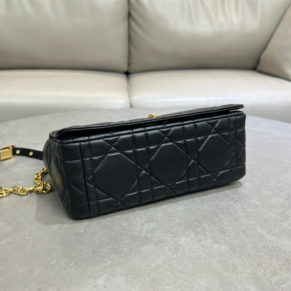 Medium Soft D10r Caro Bag((HIGH-END GRADE))