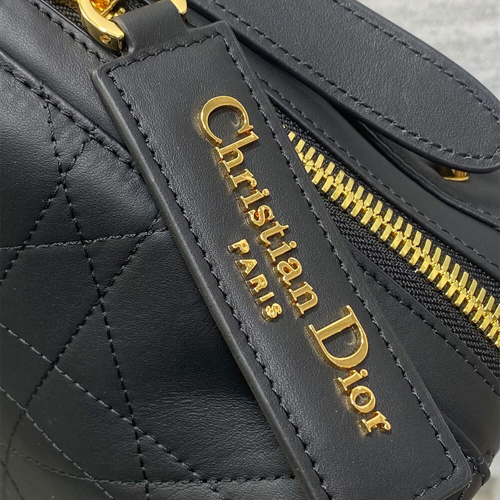 D10r Small D-Journey Bag in Vintage Smooth Calfskin(HIGH-END GRADE)