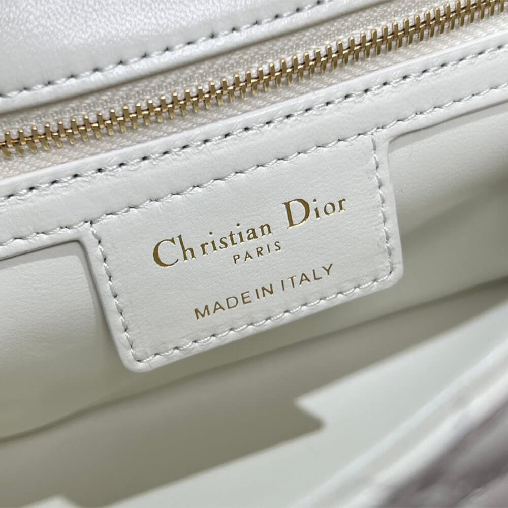 Small Soft D10r Caro Bag((HIGH-END GRADE))