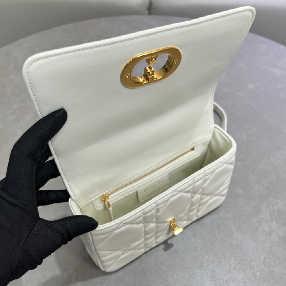 Small Soft D10r Caro Bag((HIGH-END GRADE))