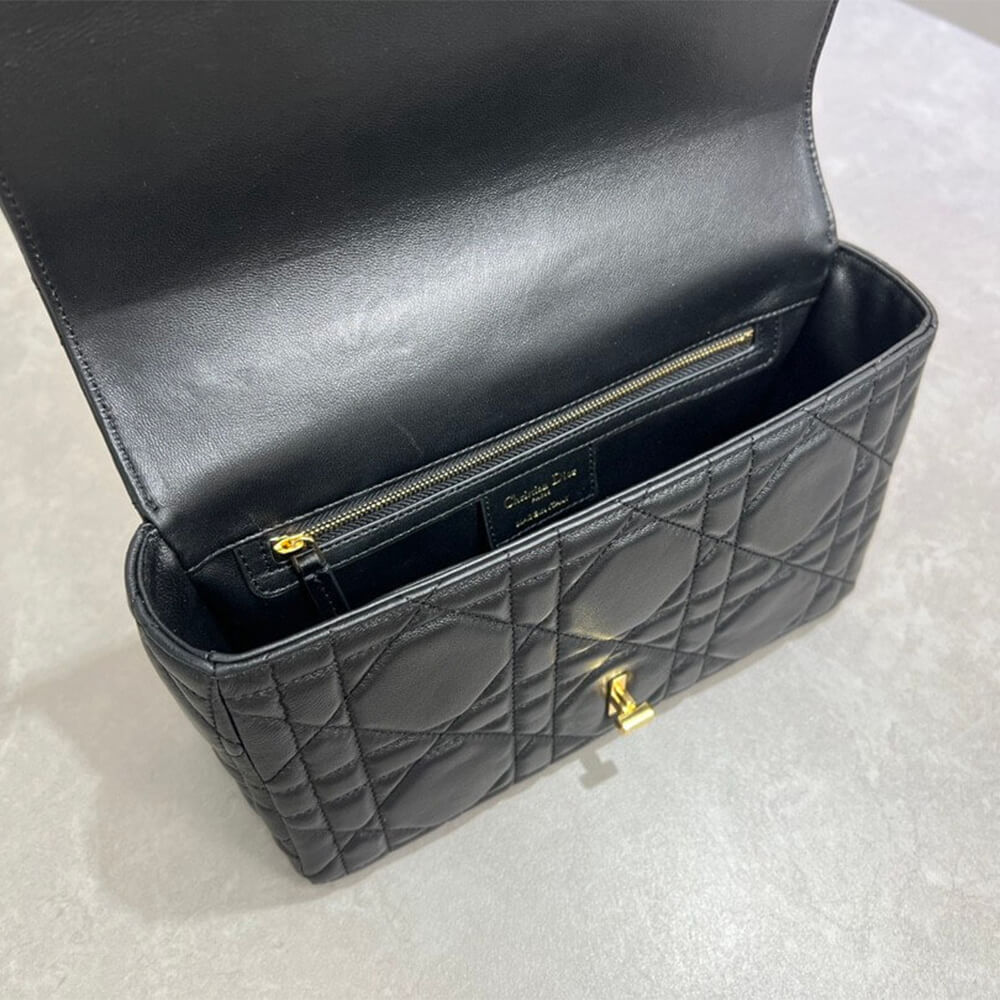 Medium Soft D10r Caro Bag((HIGH-END GRADE))
