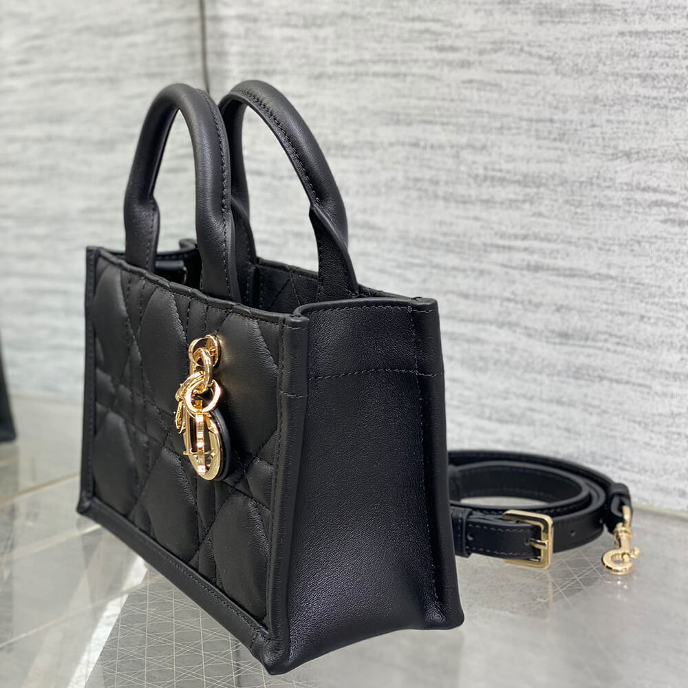 Mini D10r Book Tote