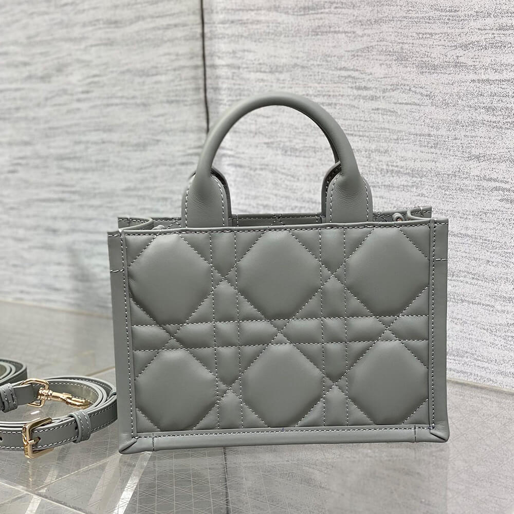 Mini D10r Book Tote