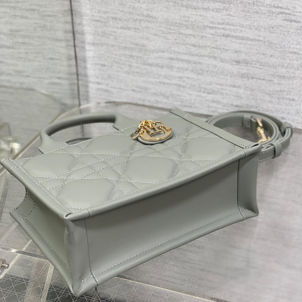 Mini D10r Book Tote