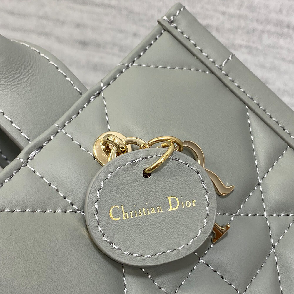 Mini D10r Book Tote