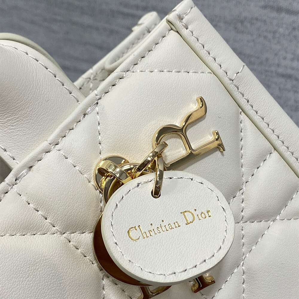 Mini D10r Book Tote