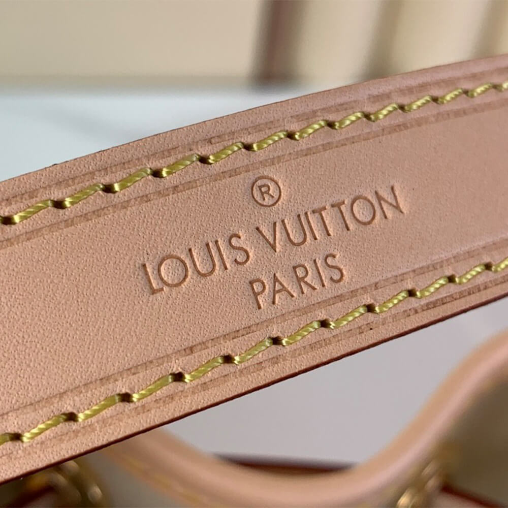 LV Noé BB
