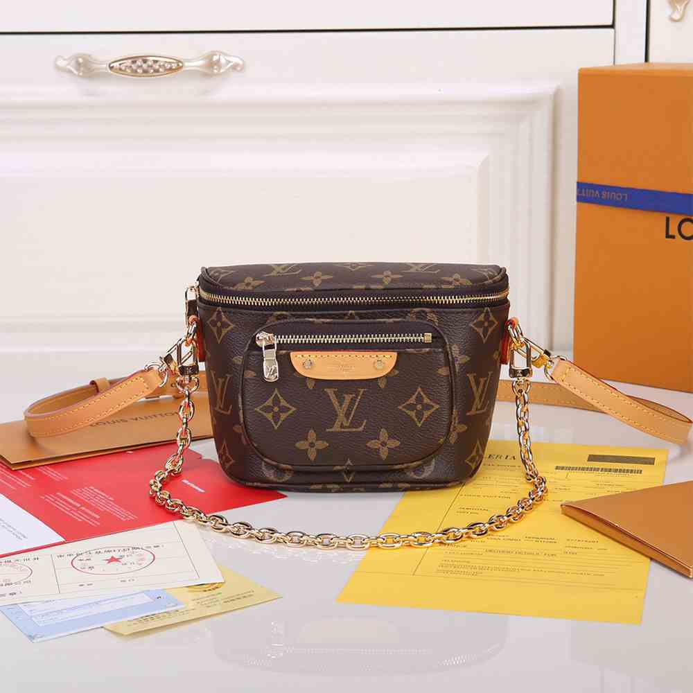 LV Mini Bumbag