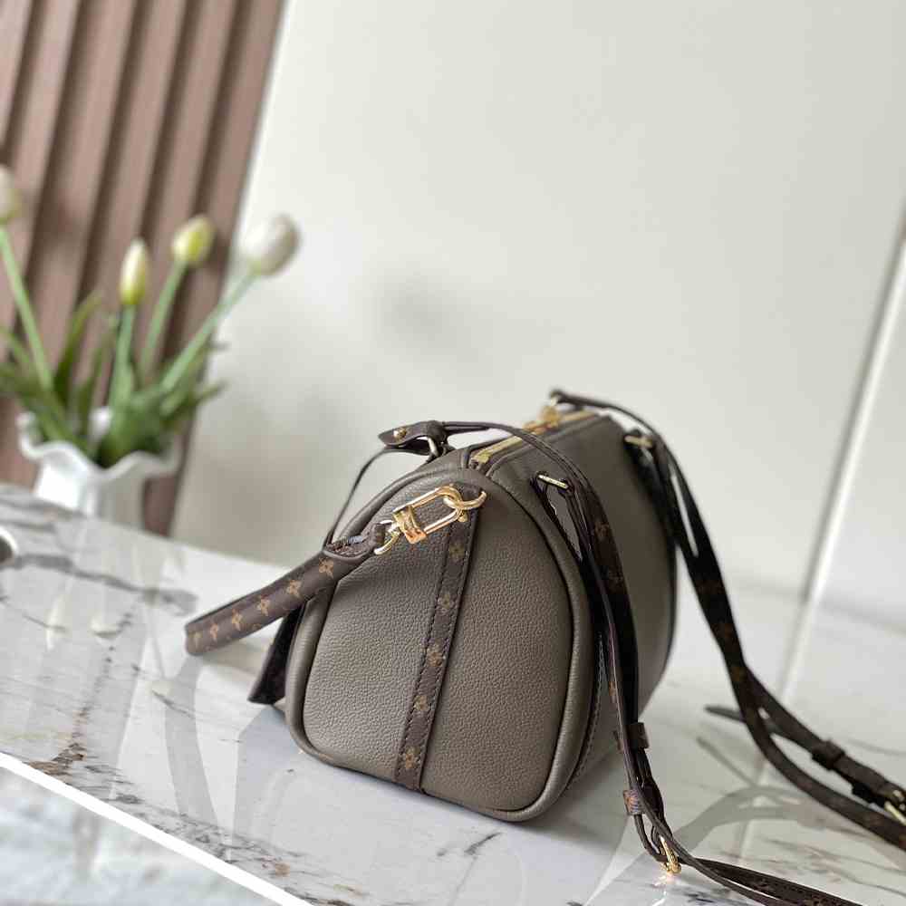LV Express PM