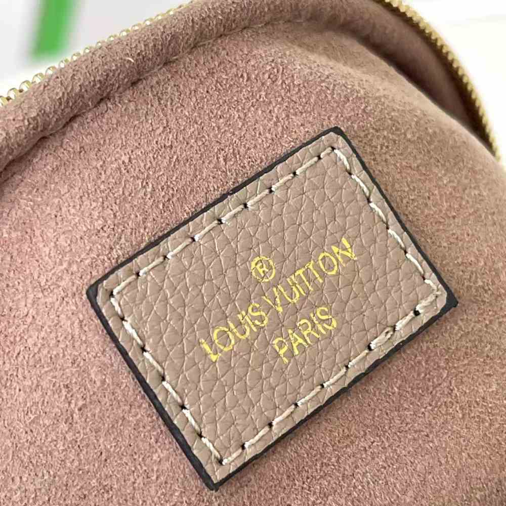 LV Mini Bumbag
