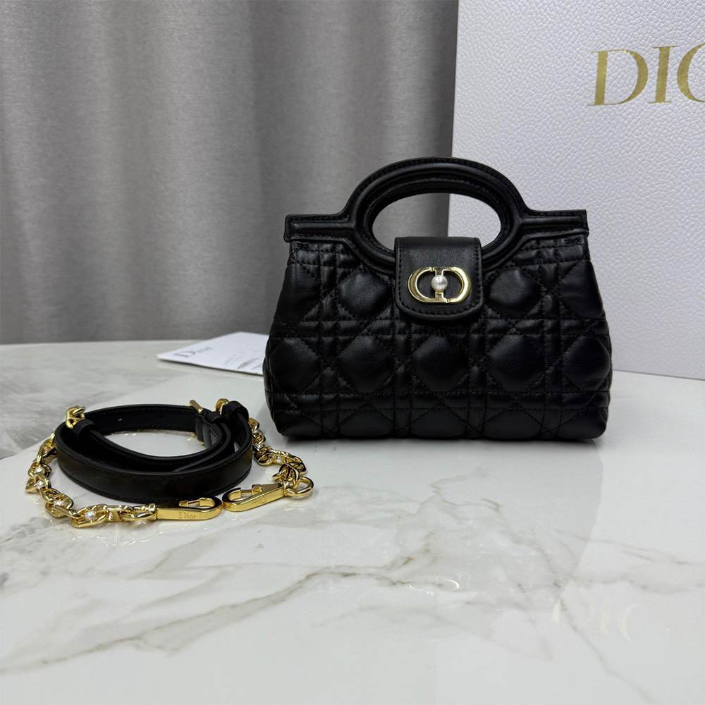 D10r Jolie Top Handle Mini Bag