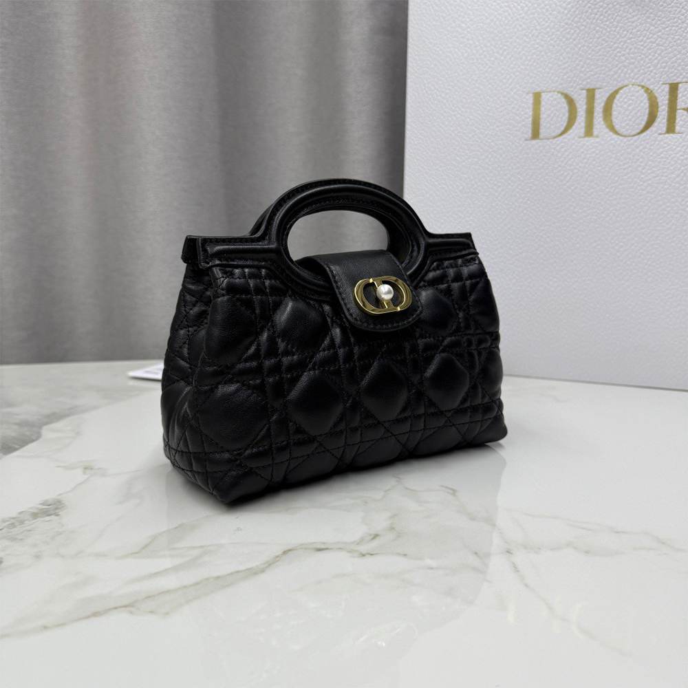 D10r Jolie Top Handle Mini Bag