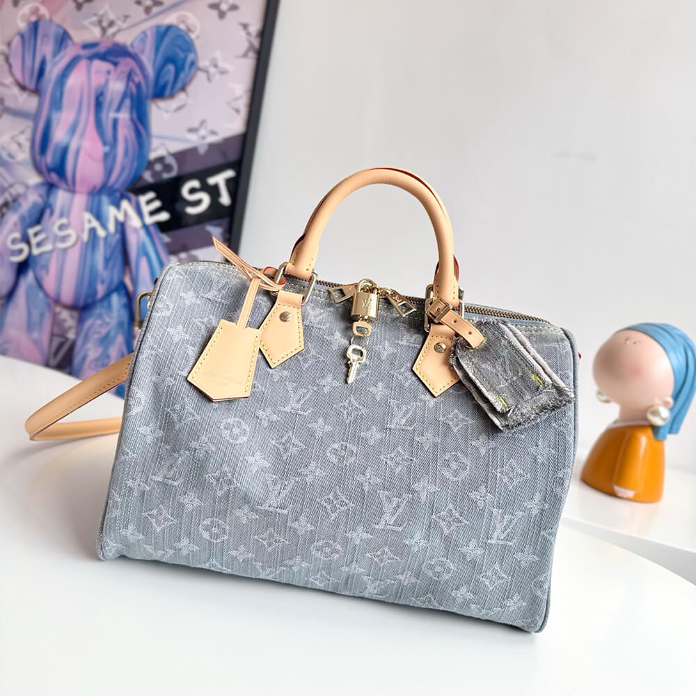 LV Speedy Soft 30 Bag