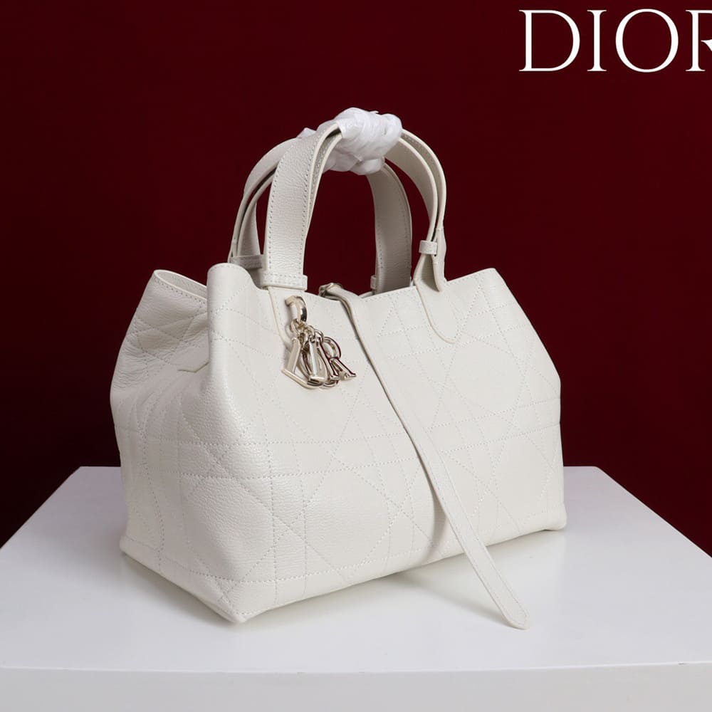 Medium D10r Toujours Bag